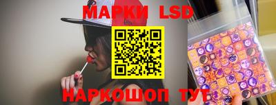 2c-b Кингисепп