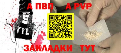 2c-b Кингисепп